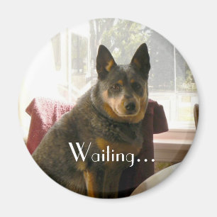 Waiting... Magnet