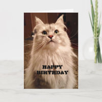 Waiting Patiently for Cake Birthday Card