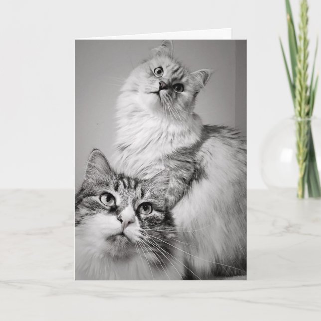 Waiting Patiently for Cake (coworker's birthday) Card (Front)