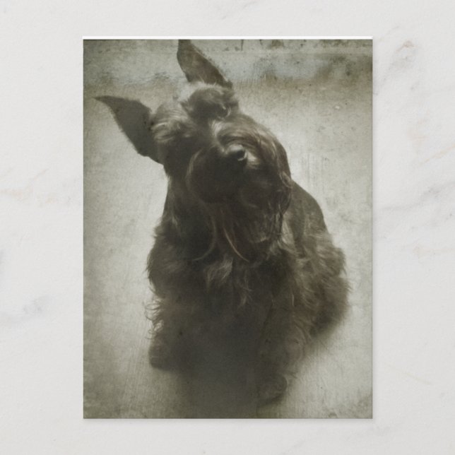 Waiting Postcard (Front)