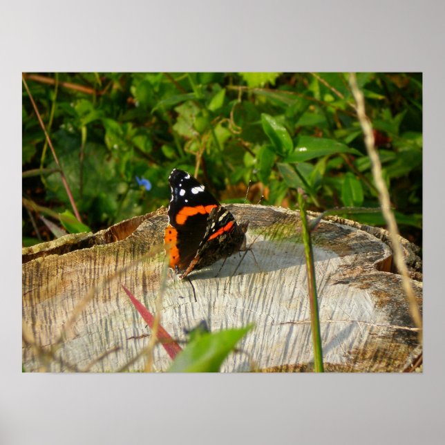 Waiting Poster (Front)