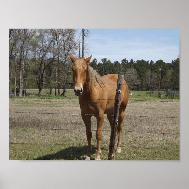 Waiting Poster (Front)