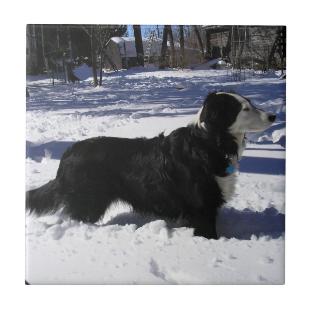 Waiting Tile (Front)