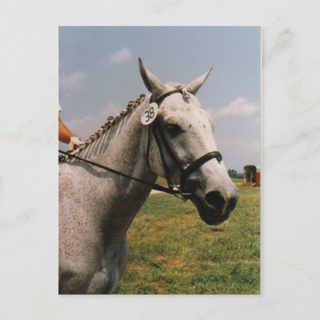 Waiting to Perform - Customised Postcard (Front)