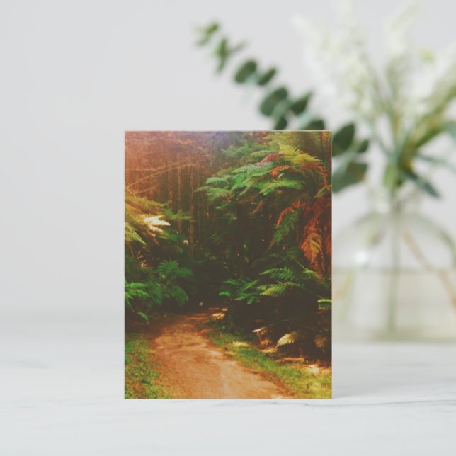 Wakawakareva Forest ( The Redwoods), Rotorua, NZ  RSVP Card (Standing Front)