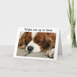 "WAKE ME UP IN TIME" SAY SPANIEL BIRTHDAY GREETING CARD