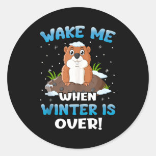 Wake Me When Winter Is Over Funny Groundhog Woodch Classic Round Sticker