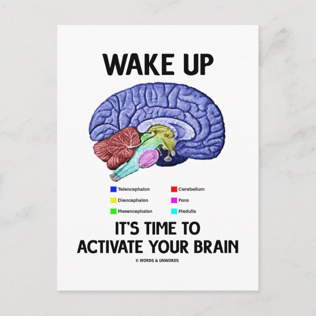 Wake Up It's Time To Activate Your Brain (Humour) Postcard (Front)
