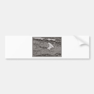 Wakeboard tone bumper sticker