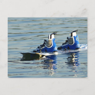 Wakeboarding 360 Postcard