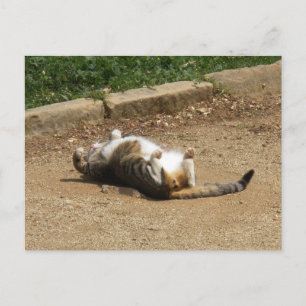 Waking Up Postcard
