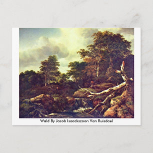 Wald By Jacob Isaackszoon Van Ruisdael Postcard