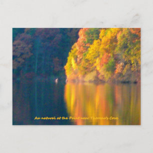 Walden Pond autumn foliage post card