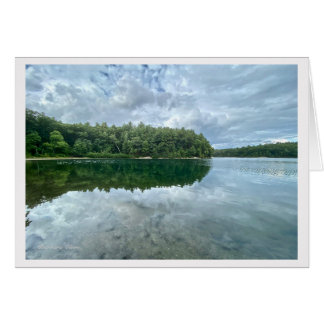 *Walden Pond:Bluebird carries the sky on his back.
