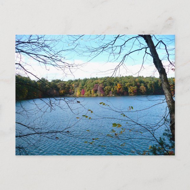 Walden Pond in the Fall Postcard (Front)
