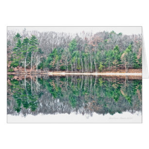 Walden Pond: Perceiving beauty with a serene min