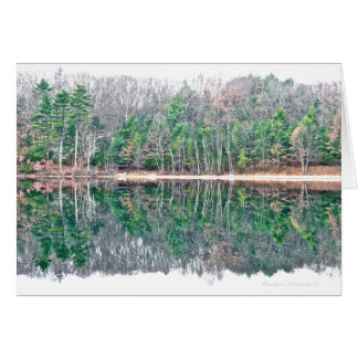 Walden Pond: Perceiving beauty with a serene min