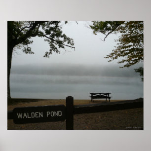 Walden Pond Poster - Contemplative Mist