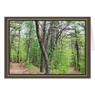 Walden Pond: Sauntering thru the woods