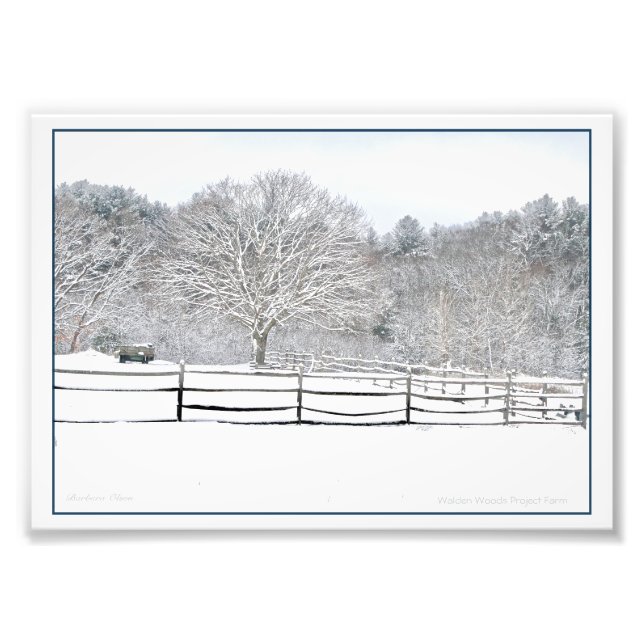 Walden Woods Project Farm Photo Print (Front)
