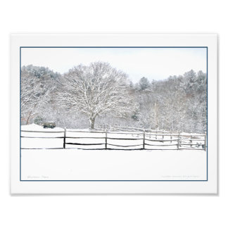 Walden Woods Project Farm Photo Print