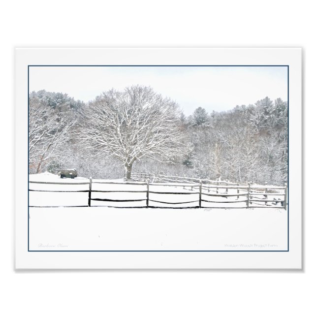 Walden Woods Project Farm Photo Print (Front)
