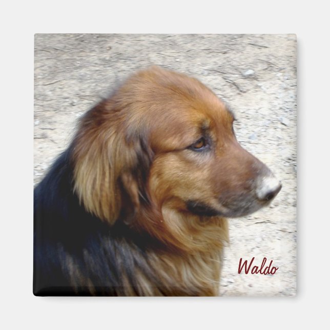 Waldo Magnet (Front)