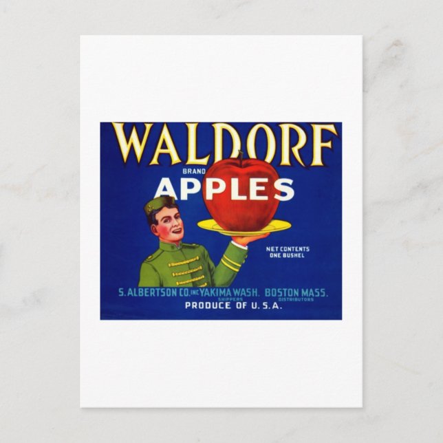 Waldorf Apples Postcard (Front)