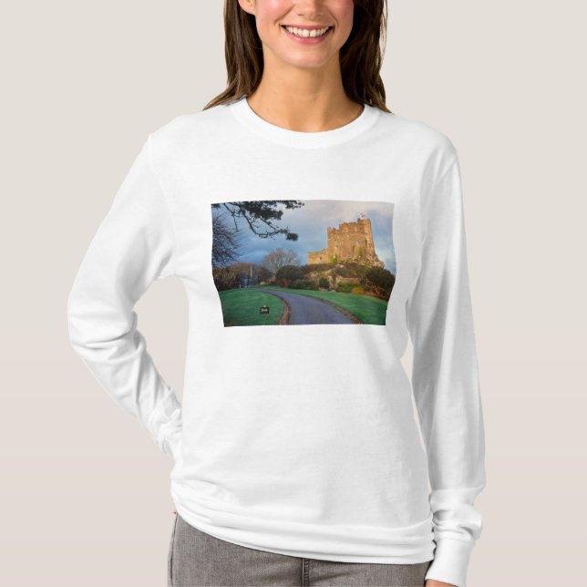 Wales - A private welsh castle near St. T-Shirt (Front)