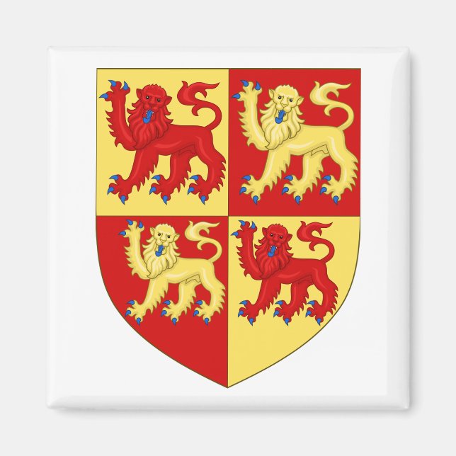 Wales Coat of Arms Magnet (Front)