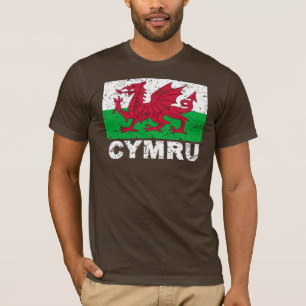 Wales CYMRU Vintage Flag T-Shirt