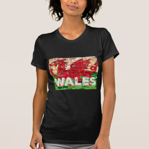Wales Flag on Brick T-Shirt