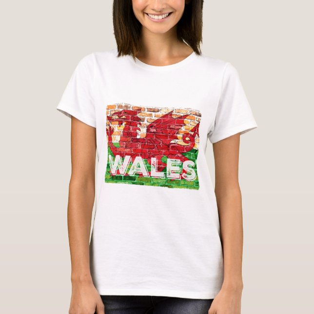 Wales Flag on Brick T-Shirt (Front)