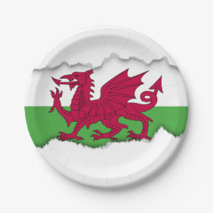 Wales Flag Paper Plate