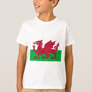 wales flag T-Shirt