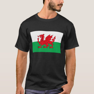 WALES FLAG t-shirt