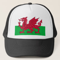 wales flag
