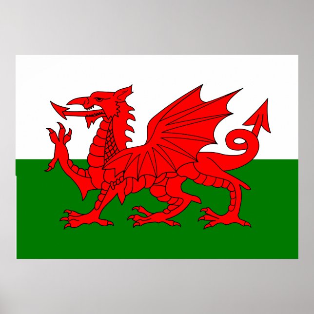  Wales flag Welsh red dragon Poster (Front)