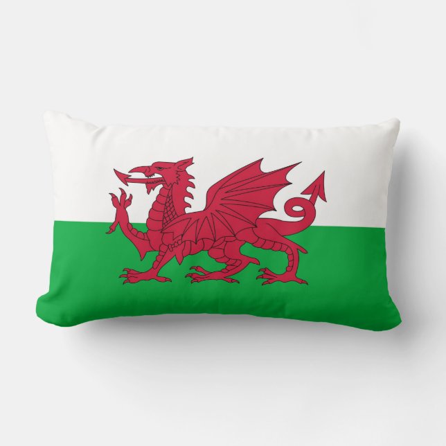 WALES LUMBAR CUSHION (Front)