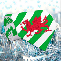 Wales Ties, fashion Welsh Flag business dragon