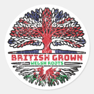 Wales Welsh Uk United Kingdom British Tree Roots Classic Round Sticker