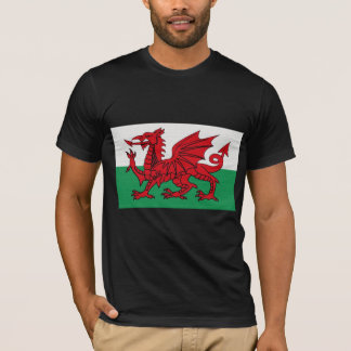 Wales's Flag T-Shirt