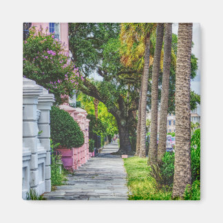 Walk Along Rainbow Row Magnet