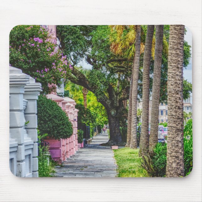 Walk Along Rainbow Row Mouse Pad (Front)