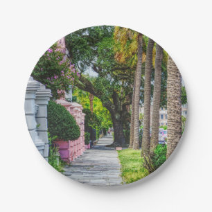 Walk Along Rainbow Row Paper Plate