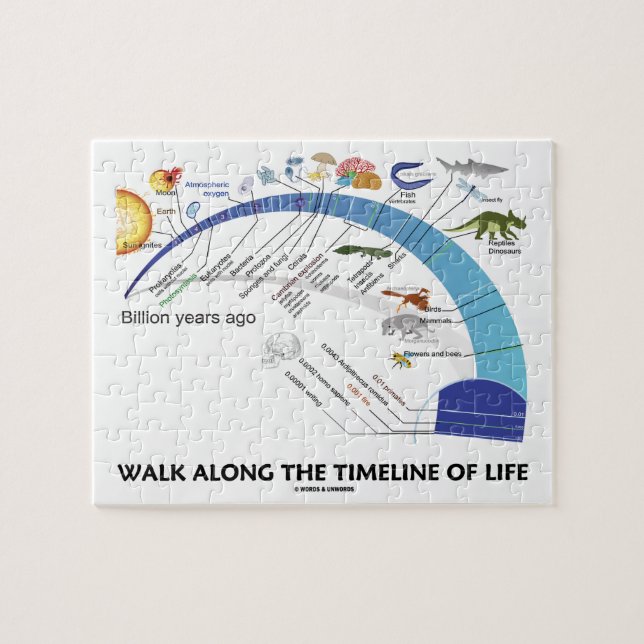 Walk Along The Timeline Of Life Biology Evolution Jigsaw Puzzle (Horizontal)