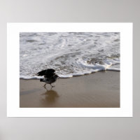 Walk by the Waves California Colour Photography