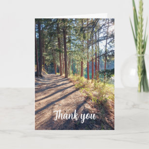 Walk Down Forest Tree Path Thank You
