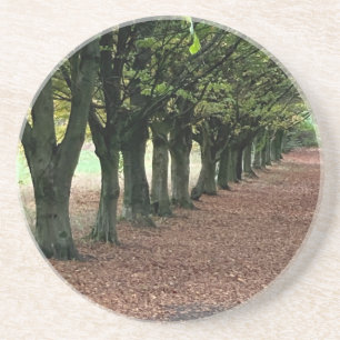 Walk in the woods coaster