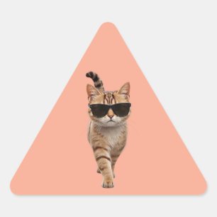 Walk Like You Mean It Triangle Sticker